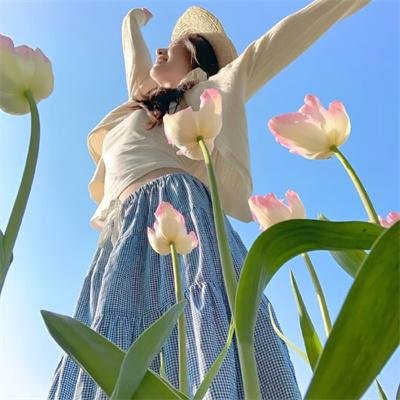 蚊子海岸